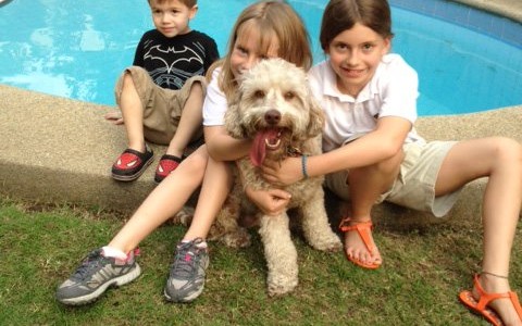 Pet-Express Keeping Families Together