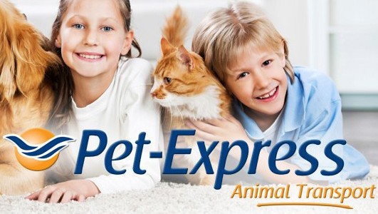 welcome_to_pet_express