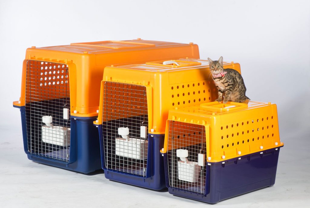 Pet Travel Crate Size Calculator What Crate Do I Need?