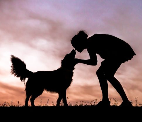 silhouette of a woman caring for a pet