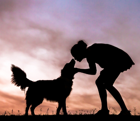 silhouette of a woman caring for a pet