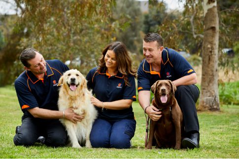 JetPets Team with some happy looking dogs