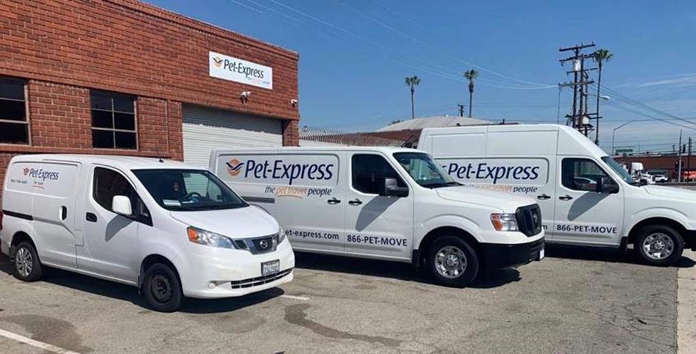 American Airlines Dog Shipping - Pet Express