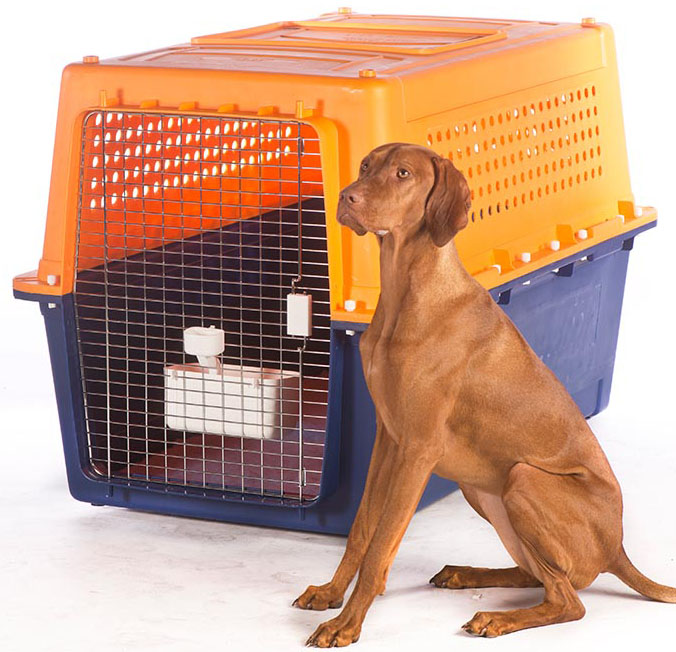 Dog Carrier Crate Animal Pet Flying Airline Transport Extra Large XL Kennel Cage 