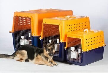 Extra large airline outlet dog crate