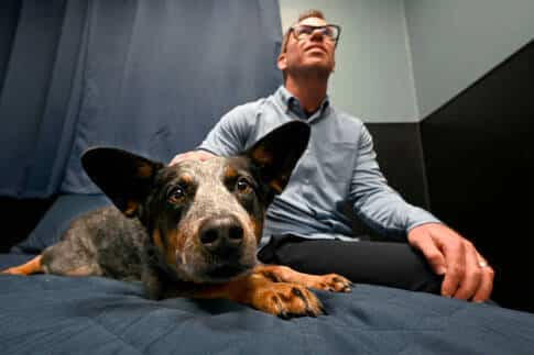 A man and dog relaxing together watching TV