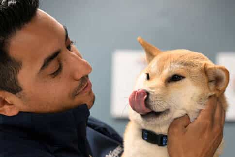 A dog enjoying attention from a man