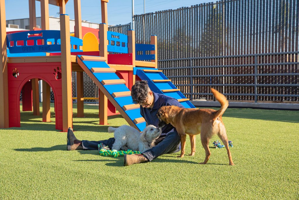 Lax sales dog boarding