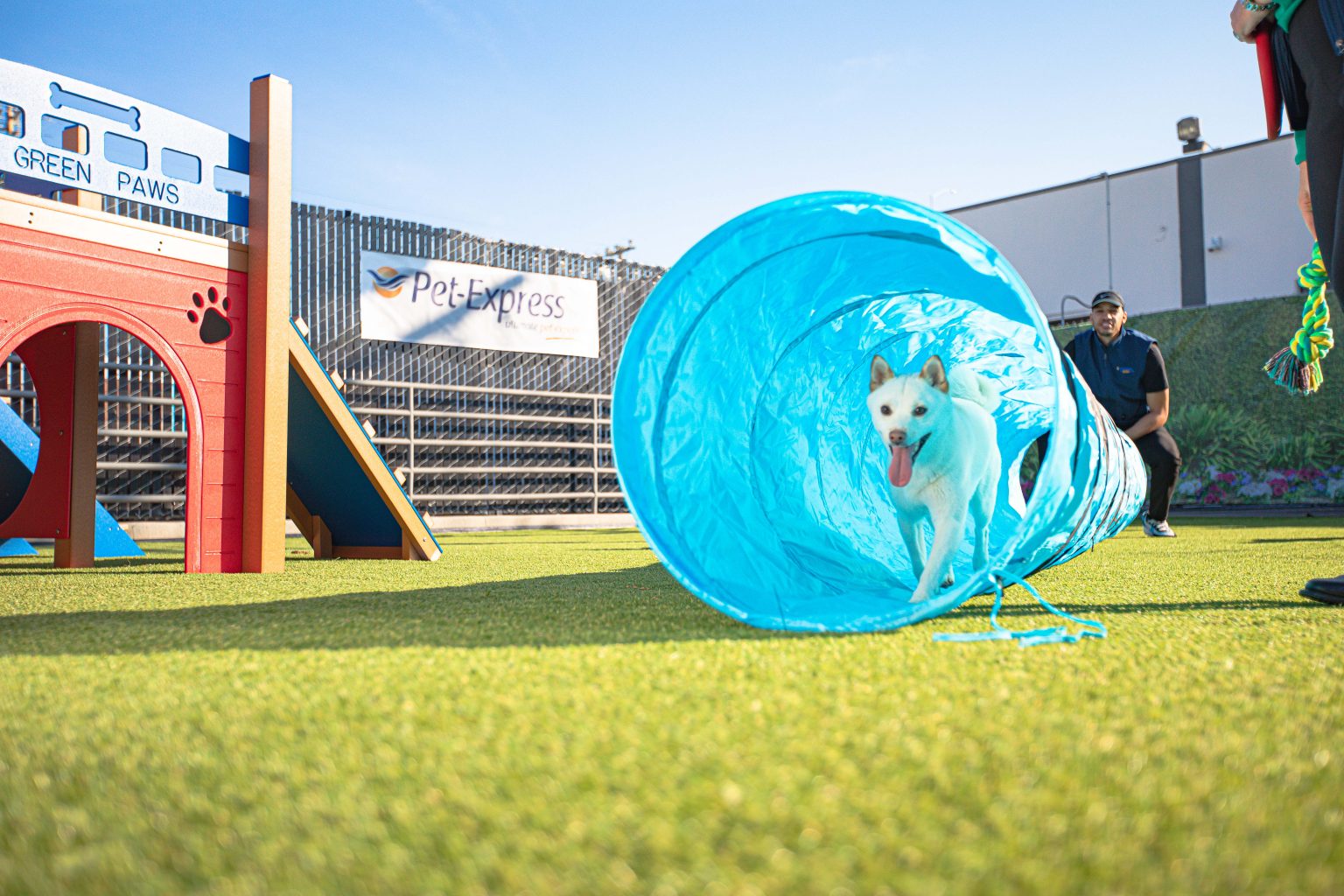 Dog Boarding Los Angeles Pet Express