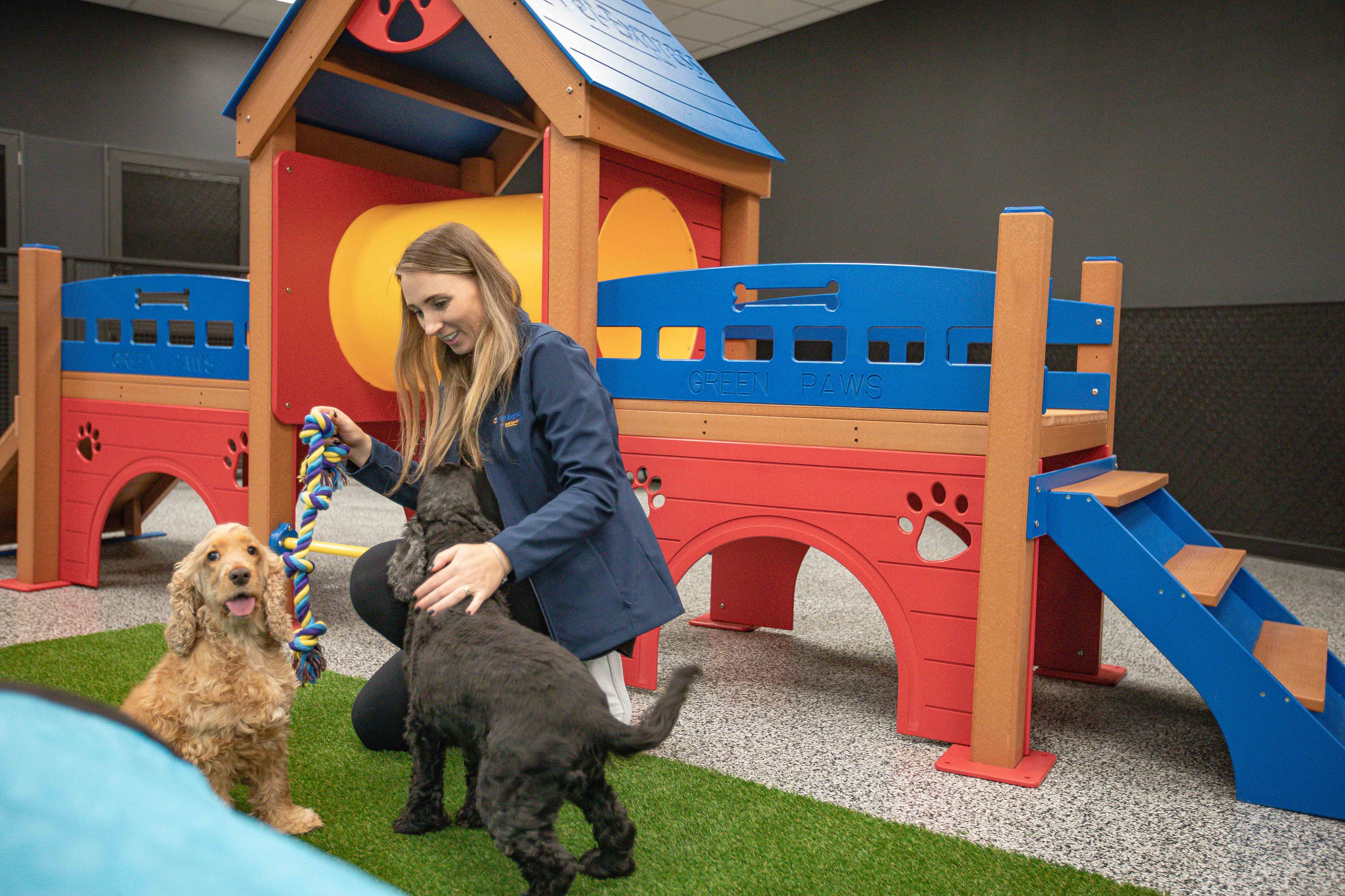 woman playing with two dogs in an indoor pet playground