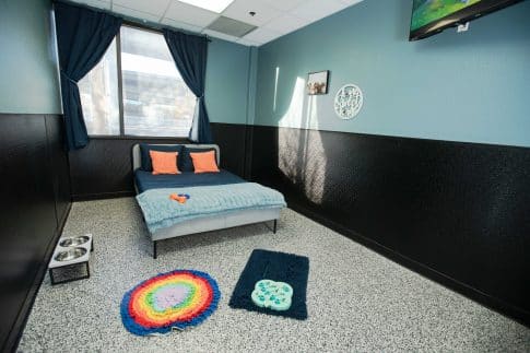 A luxury dog bedroom at the pet hotel